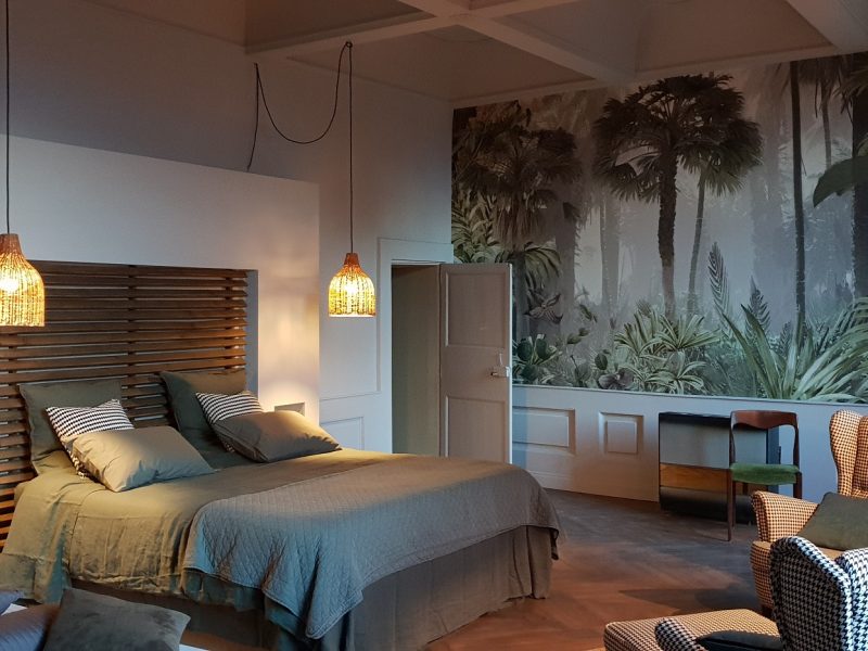 SUITE JUNGLE