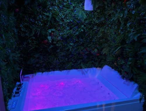 LA TROPICAL DIEPPE Jacuzzi privatif décoration tropicale