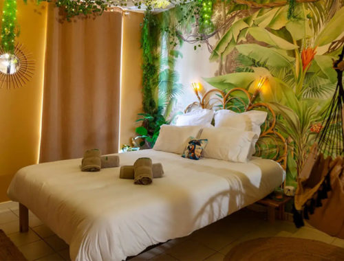 Chambre à thème L'aventurier, la jungle avec lit double et décoration végétale à Vierzon.