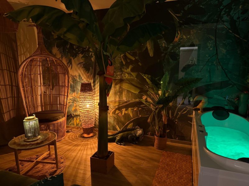 LE LODGE DE LA JUNGLE